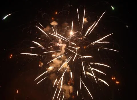 Fireworks exploding in the night sky, creating a mesmerizing spectacle Foto stock
