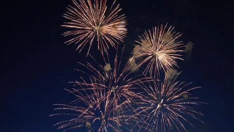 Fireworks exploding in the night sky during a celebration Foto stock