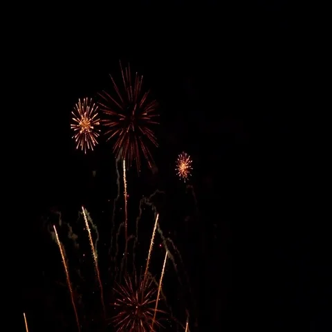 Fireworks exploding in the night sky Stock Footage 69530283