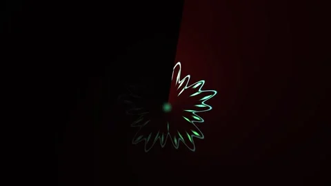 Fireworks exploding in the night sky. Stock Footage 334334754