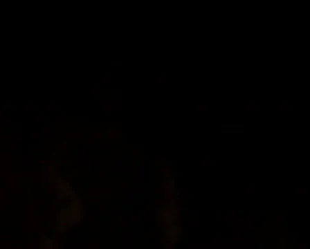 Fireworks Exploding in the Sky Stock Footage 373864