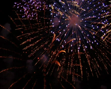 Fireworks Exploding in the Sky Stock Footage 373899