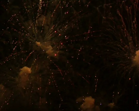 Fireworks Exploding in the Sky Stock Footage 373905