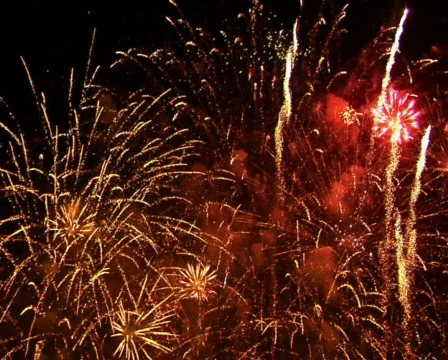 Fireworks Exploding in the Sky Stock Footage 376514