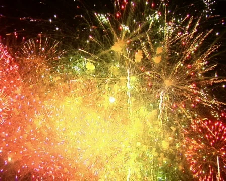 Fireworks Exploding in the Sky Stock Footage 376528
