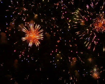 Fireworks Exploding in the Sky Stock Footage 376541
