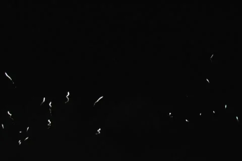 Fireworks Exploding in the Sky Stock Footage 376597