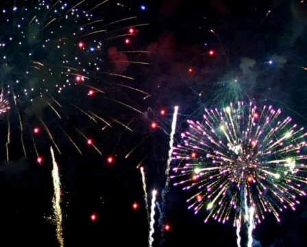 Fireworks Exploding in the Sky Stock Footage 376607