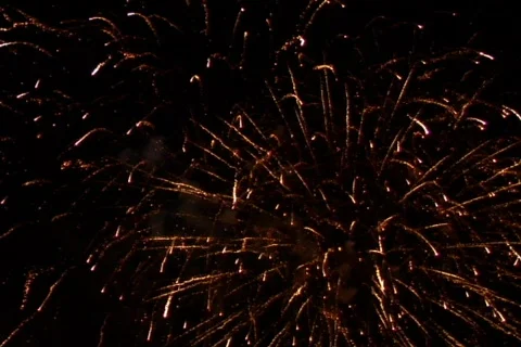 Fireworks Exploding in the Sky Stock Footage 376608