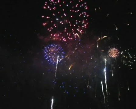 Fireworks Exploding in the Sky Stock Footage 376610