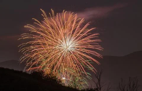 Fireworks exploding in sky 库存照片