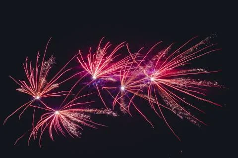 Fireworks exploding in violet colors Stock Photos
