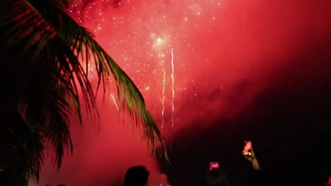 Fireworks explosion bursting in night sky. Stock Footage 341291110