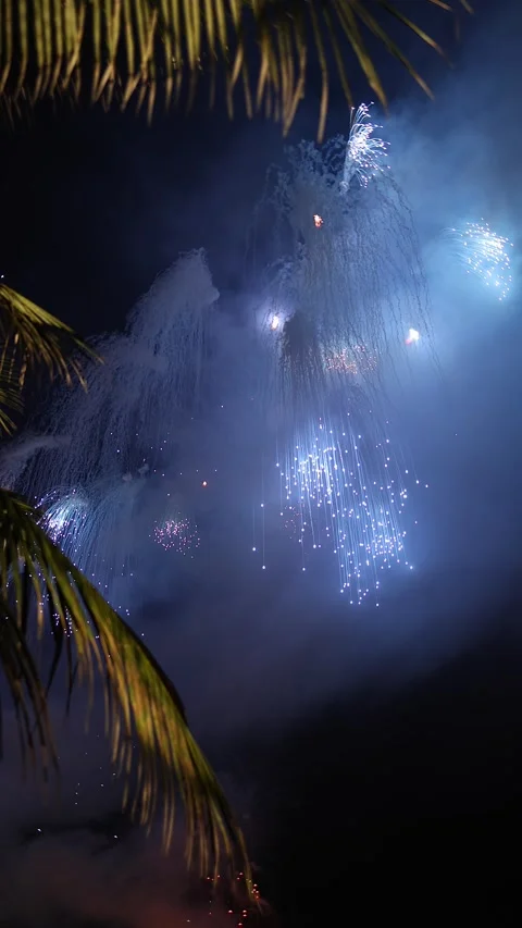 Fireworks explosion bursting in night sky. Stock Footage 341291117