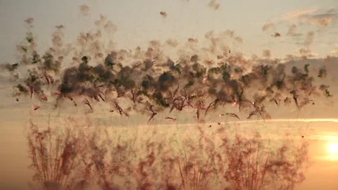 Fireworks explosion lights up the sunset sky filled with smoke during a striking Stock Footage 302058295