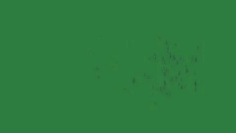 Fireworks Flying With Large - Chroma Key Green Screen Footage Stock Footage 338013708