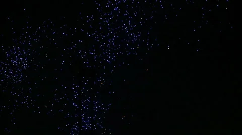 Fireworks Stock Footage 1077587