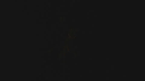 Fireworks Stock Footage 2365663