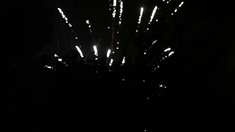Fireworks Stock Footage 79027605