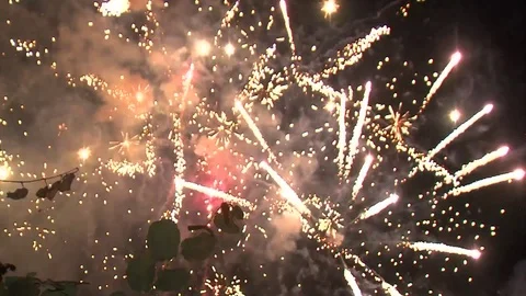 Fireworks Stock Footage 83828190