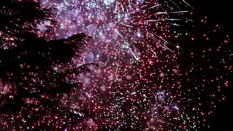 Fireworks Видео 111217054