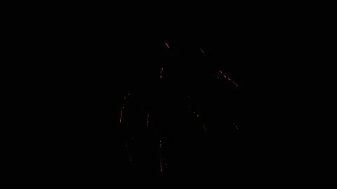 Fireworks Stock Footage 139670305