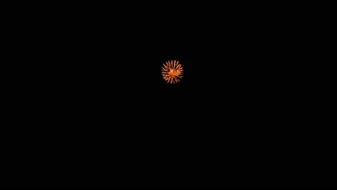 Fireworks Stock Footage 139670563