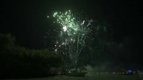 Fireworks Stock Footage 157239997