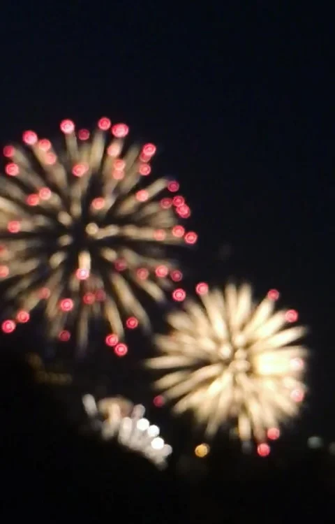 Fireworks Stock Footage 161784931