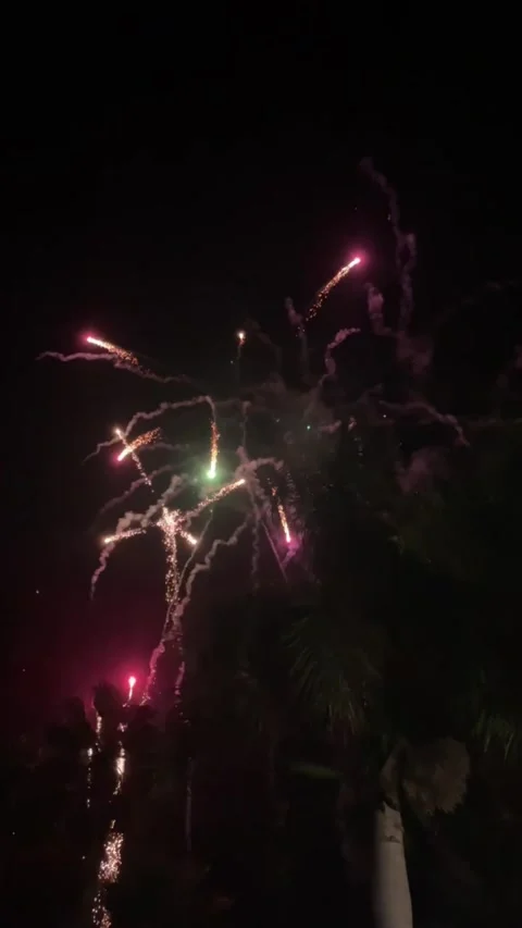 Fireworks Stock Footage 164072169