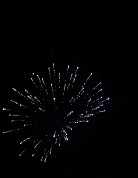 Fireworks Stock Footage 164072172