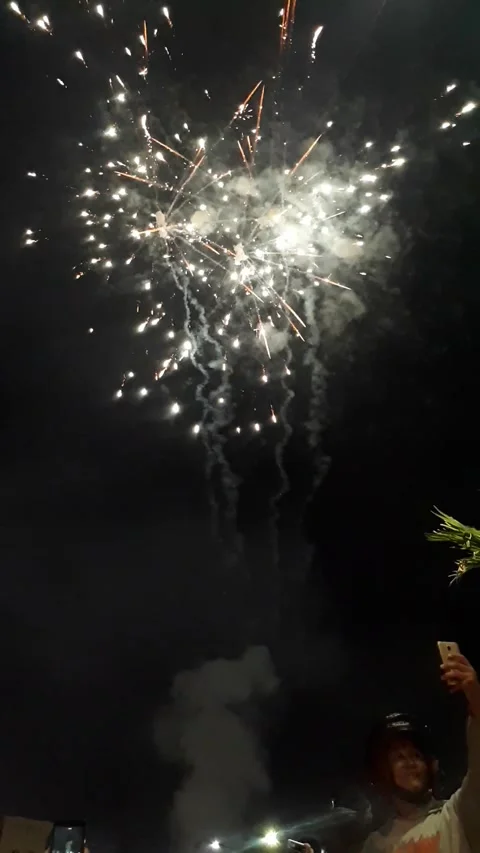 Fireworks Stock Footage 205798188
