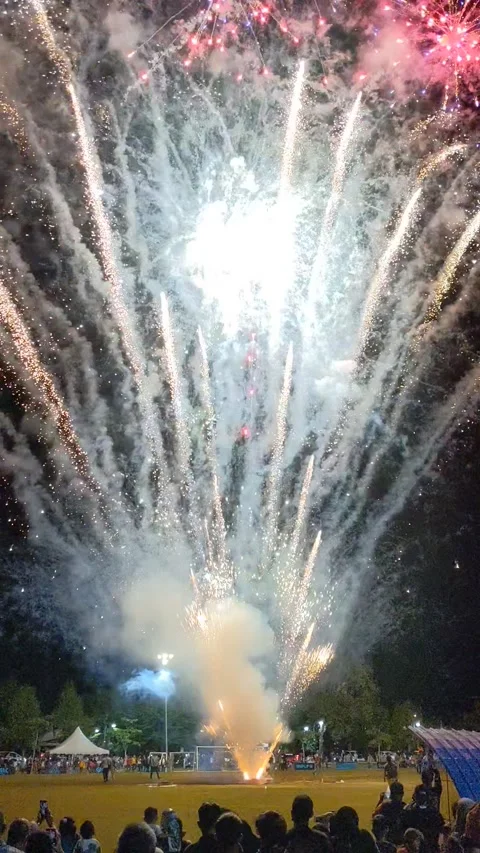 Fireworks Stock Footage 218280472