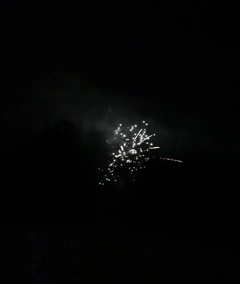 Fireworks Stock Footage 230415160