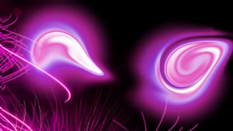 Fireworks Vidéo 250275957