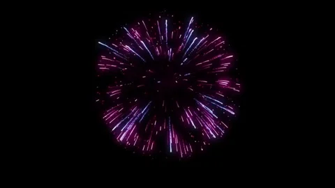 Fireworks Stock Footage 314909058