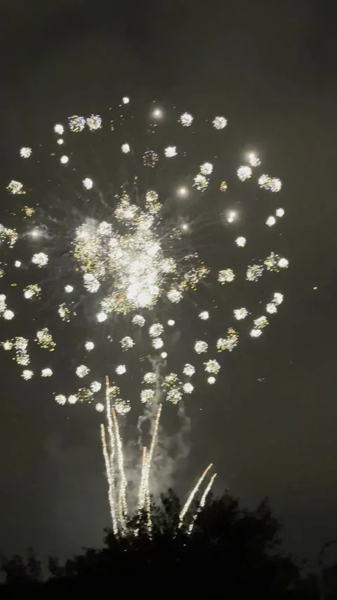 Fireworks Stock Footage 323610814