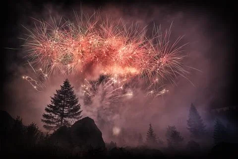Fireworks in the forest Stock Photos