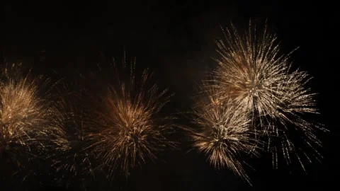 Fireworks - gold palms Video stock 254511664
