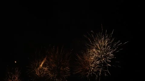 Fireworks - gold palms Stock Footage 254511726
