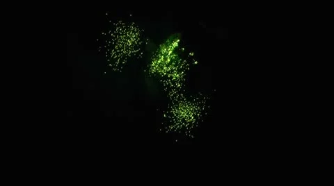 Fireworks HD Video stock 8970541