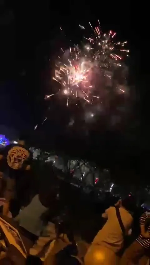 Fireworks on holiday Video stock 239344024