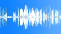 Fireworks - Huge Variety PackSound Effect
