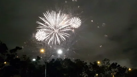 Fireworks illuminating the night Stock Footage