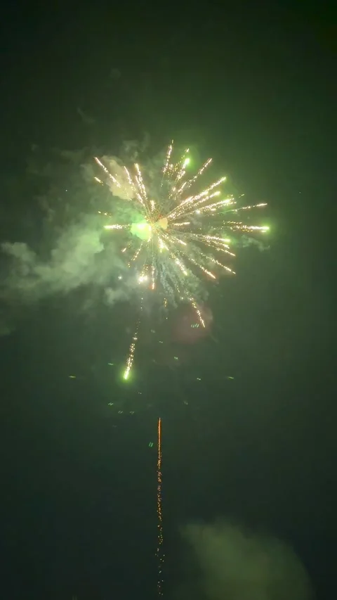 Fireworks illuminating the night sky Stock Footage 335735338