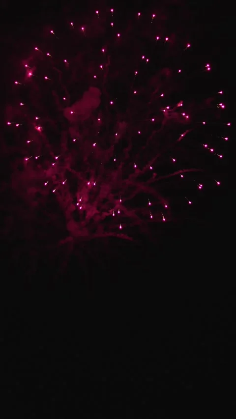 Fireworks lighting up the night sky. Vibrant explosions during a festive night Stock Footage 281299698