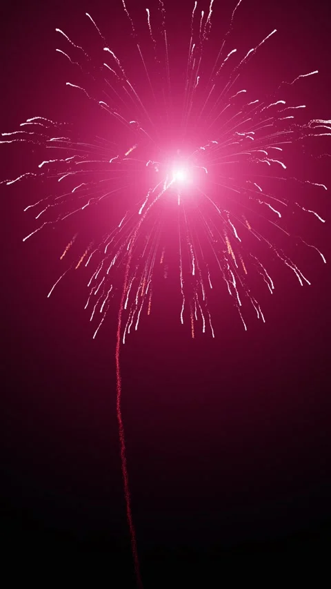 Fireworks lights with explosions on night black background 库存影片 337736284