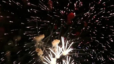 Fireworks motion graphics with night background Stock Footage 133868624