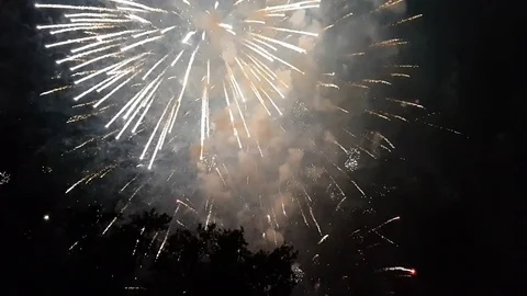 Fireworks movement behind the trees 動画素材 77007386