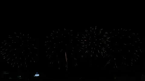 Fireworks with multicolored and different shape real explosion on dark Video stock 145278211